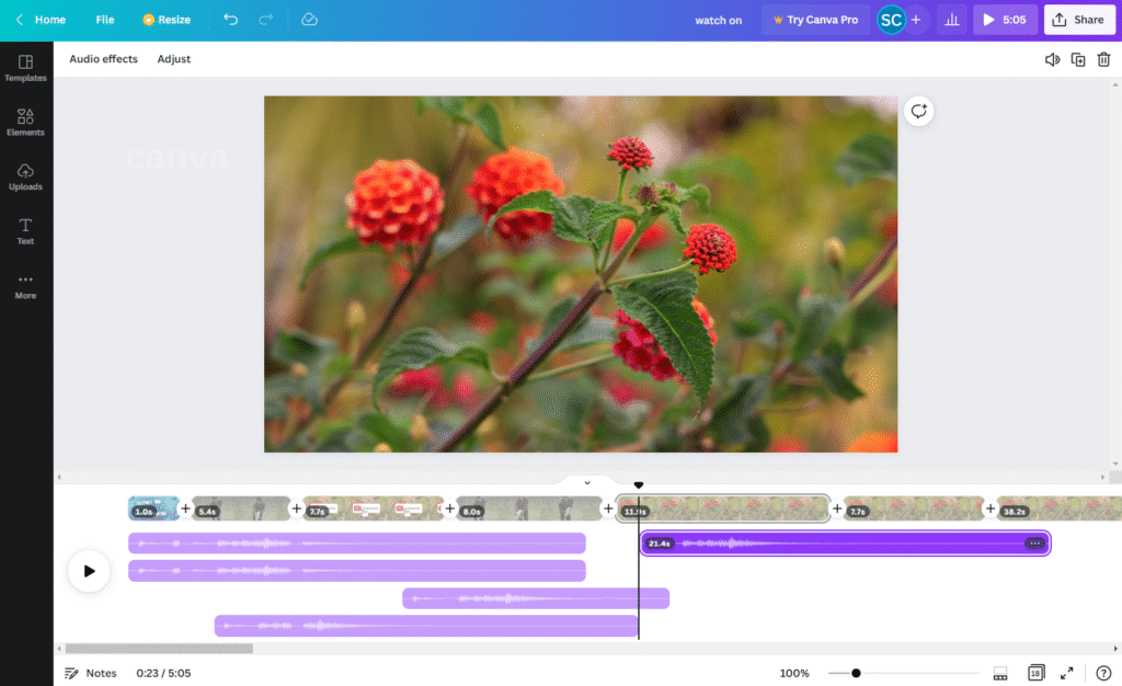 Canva AI: Guide to its New Smart Features