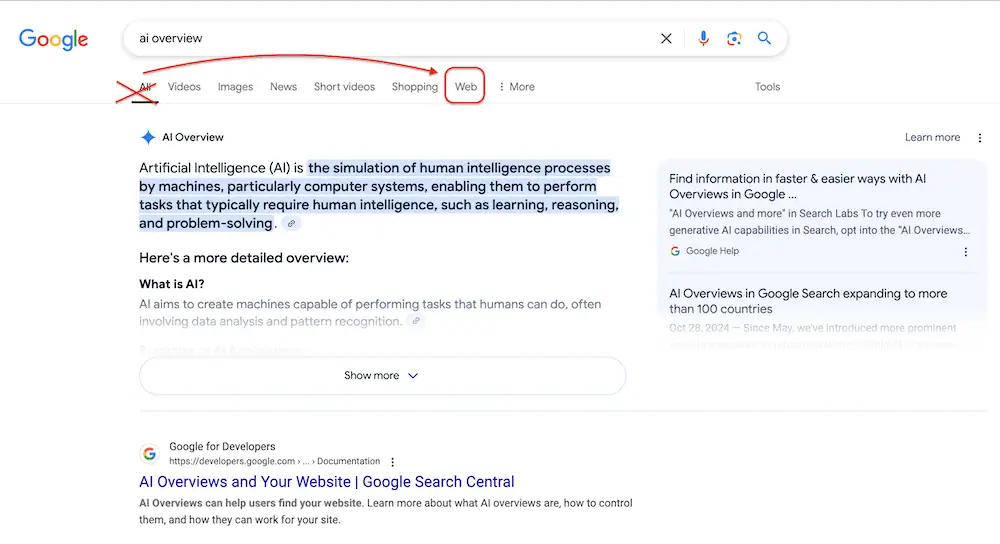 How to Turn Off Google AI Overviews?